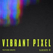 Vibrant Pixel cover image cdn