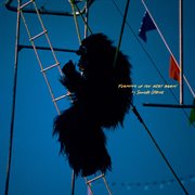 Turning Up The Heat Again cover image cdn