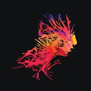 Dark Light cover image cdn