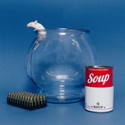 Hot Wheels: Scat Pack cover image cdn