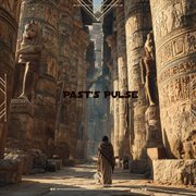 Past's Pulse cover image cdn