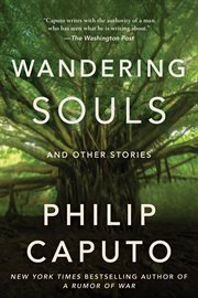 Wandering Souls : And Other Stories cover image cdn