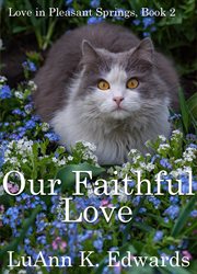 Our Faithful Love cover image cdn