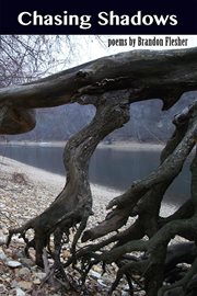 Chasing Shadows cover image cdn