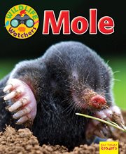 Mole cover image cdn