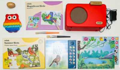 Cognitive kit - birds activities for people with middle- to late-stage dementia cover image
