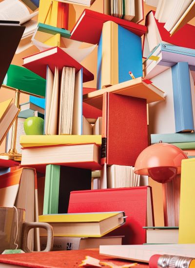 Bookworm jigsaw puzzle [500 pieces] cover image