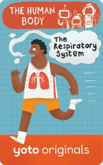 The Respiratory System cover image