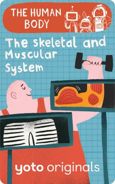 The Skeletal and Muscular Systems cover image