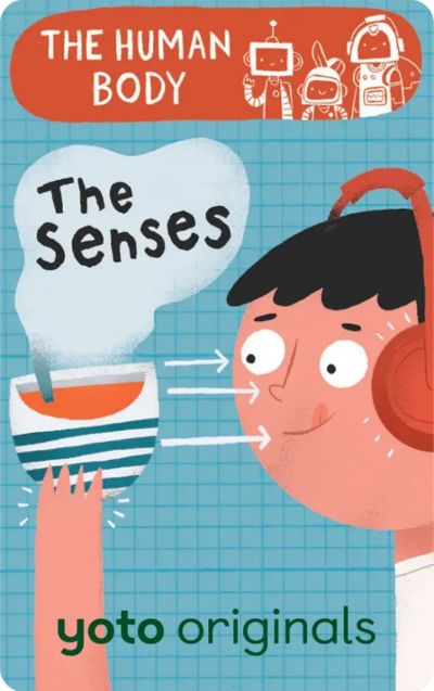 The Senses cover image